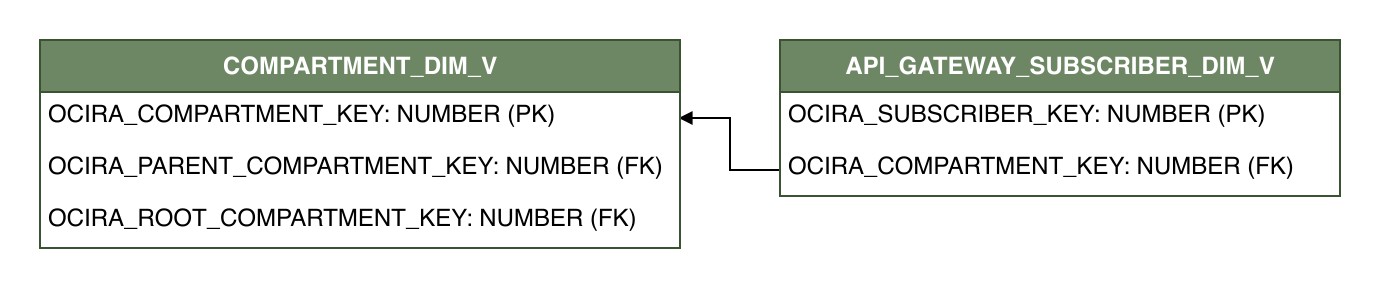 Relationship diagram showing the dimension table, API_GATEWAY_SUBSCRIBER_DIM_V.