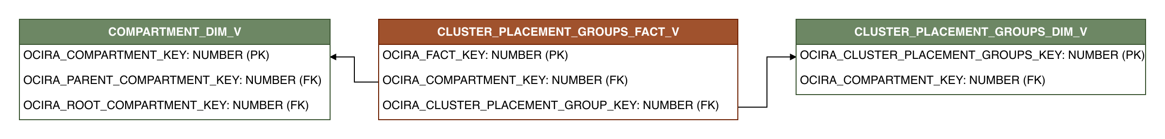 Relationship diagram showing the fact table, CLUSTER_PLACEMENT_GROUPS_FACT_V.
