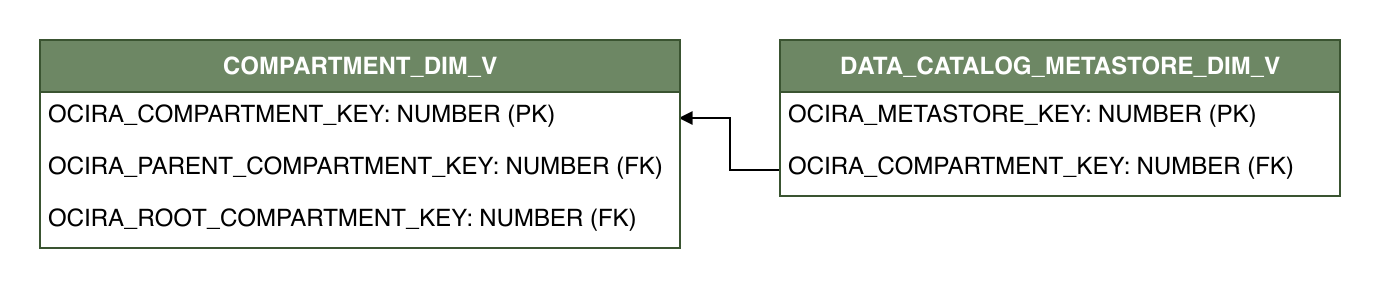 Relationship diagram showing the dimension table, DATA_CATALOG_METASTORE_DIM_V.