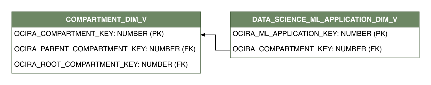Relationship diagram showing the dimension table, DATA_SCIENCE_ML_APPLICATION_DIM_V.