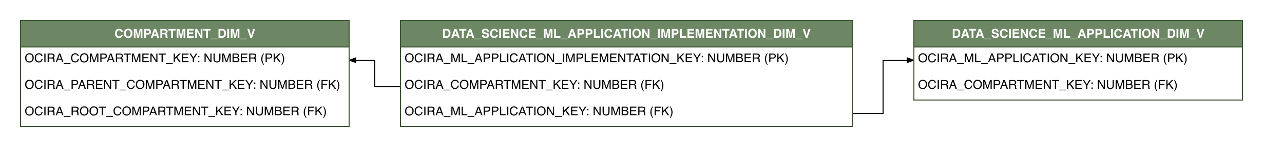 Relationship diagram showing the dimension table, DATA_SCIENCE_ML_APPLICATION_IMPLEMENTATION_DIM_V.