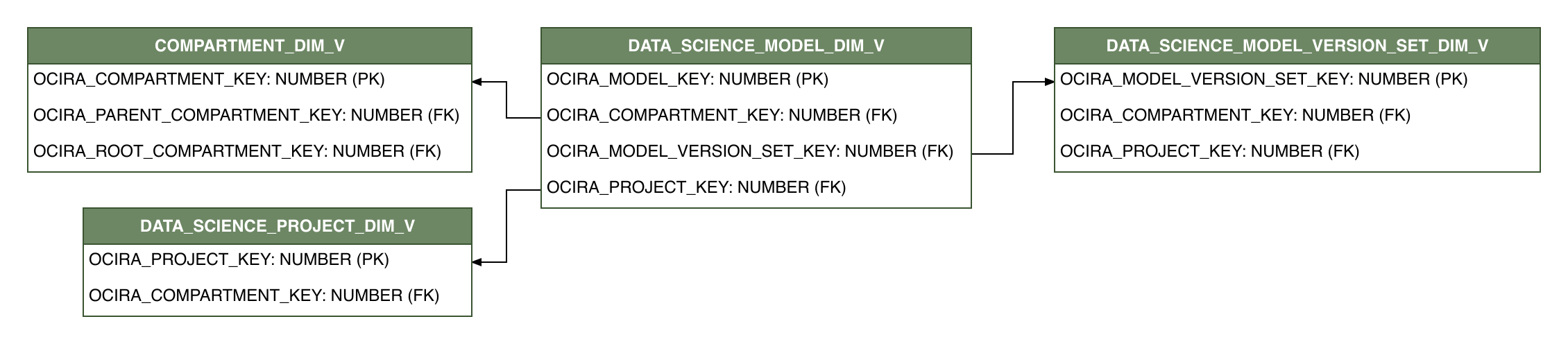 Relationship diagram showing the dimension table, DATA_SCIENCE_MODEL_DIM_V.