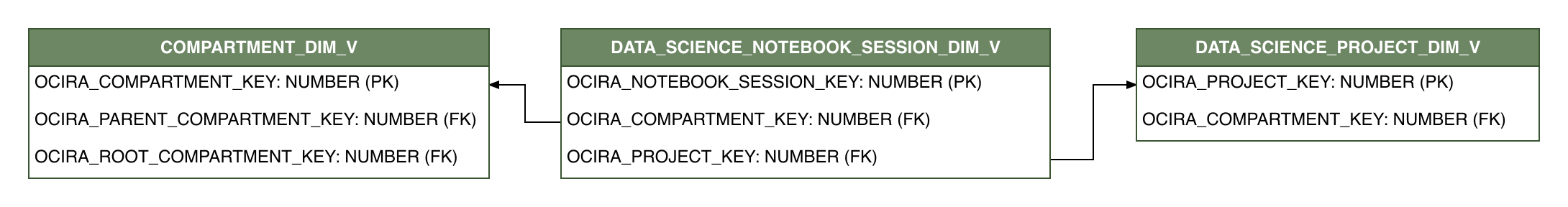 Relationship diagram showing the dimension table, DATA_SCIENCE_NOTEBOOK_SESSION_DIM_V.