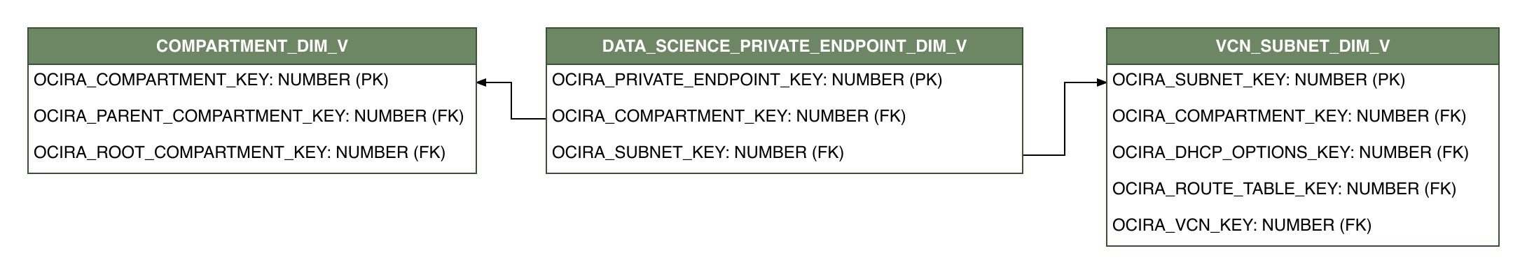 Relationship diagram showing the dimension table, DATA_SCIENCE_PRIVATE_ENDPOINT_DIM_V.