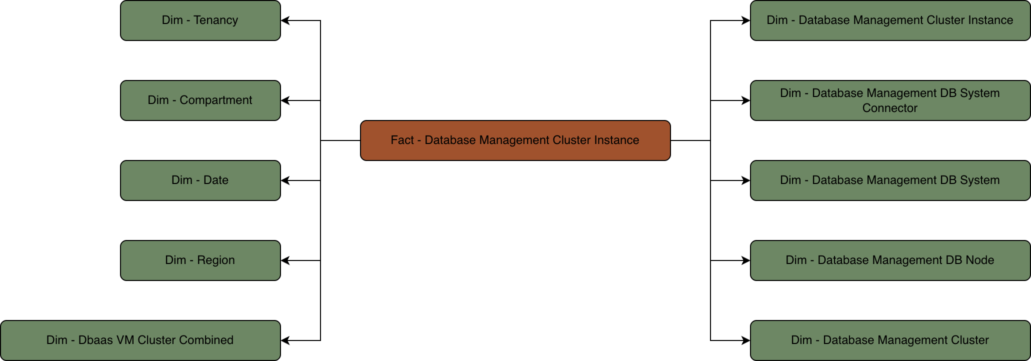 Relationship diagram with the Database Management Cluster Instance fact table connected to multiple dimension tables.