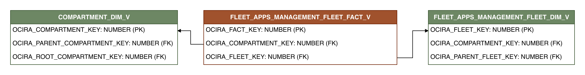 Relationship diagram showing the fact table, FLEET_APPS_MANAGEMENT_FLEET_FACT_V.