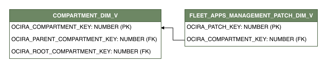 Relationship diagram showing the dimension table, FLEET_APPS_MANAGEMENT_PATCH_DIM_V.