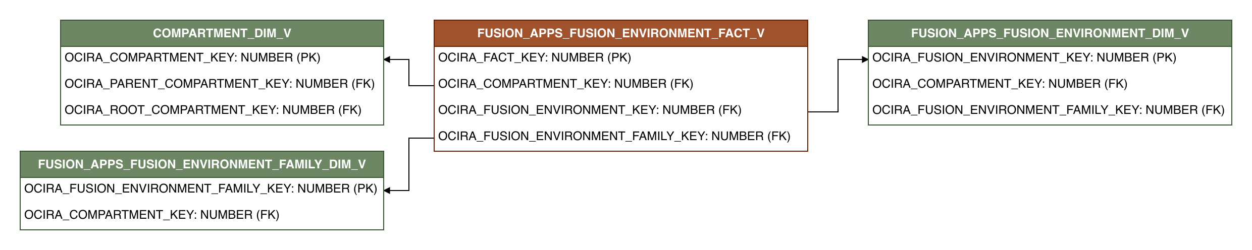 Relationship diagram showing the fact table, FUSION_APPS_FUSION_ENVIRONMENT_FACT_V.