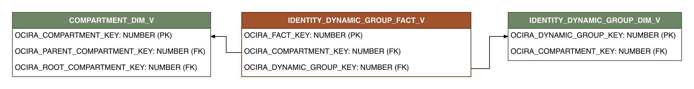 Relationship diagram showing the fact table, IDENTITY_DYNAMIC_GROUP_FACT_V.