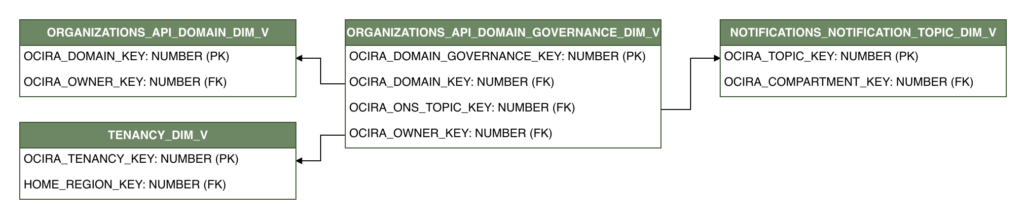 Relationship diagram showing the dimension table, ORGANIZATIONS_API_DOMAIN_GOVERNANCE_DIM_V.