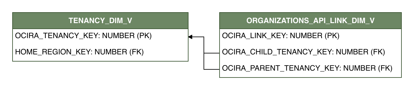 Relationship diagram showing the dimension table, ORGANIZATIONS_API_LINK_DIM_V.
