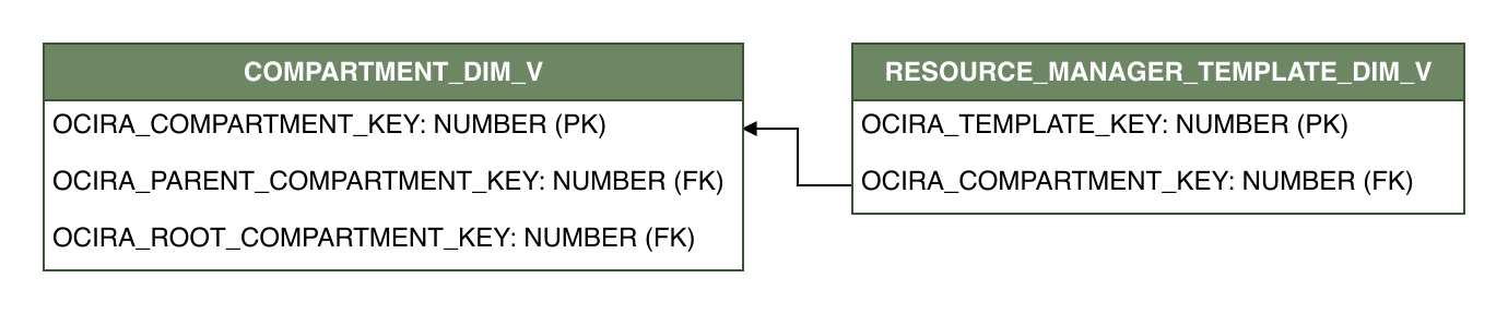 Relationship diagram showing the dimension table, RESOURCE_MANAGER_TEMPLATE_DIM_V.