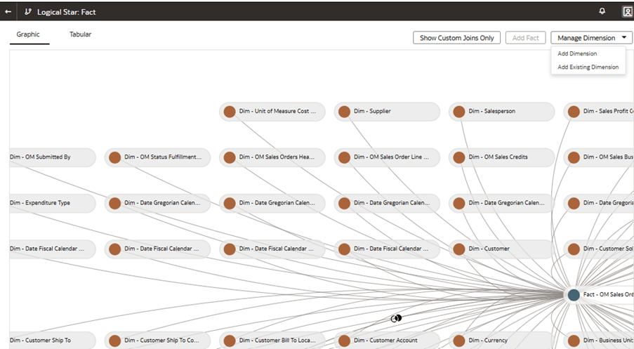 The Logical Star: Fact page displaying Manage Dimension list of values